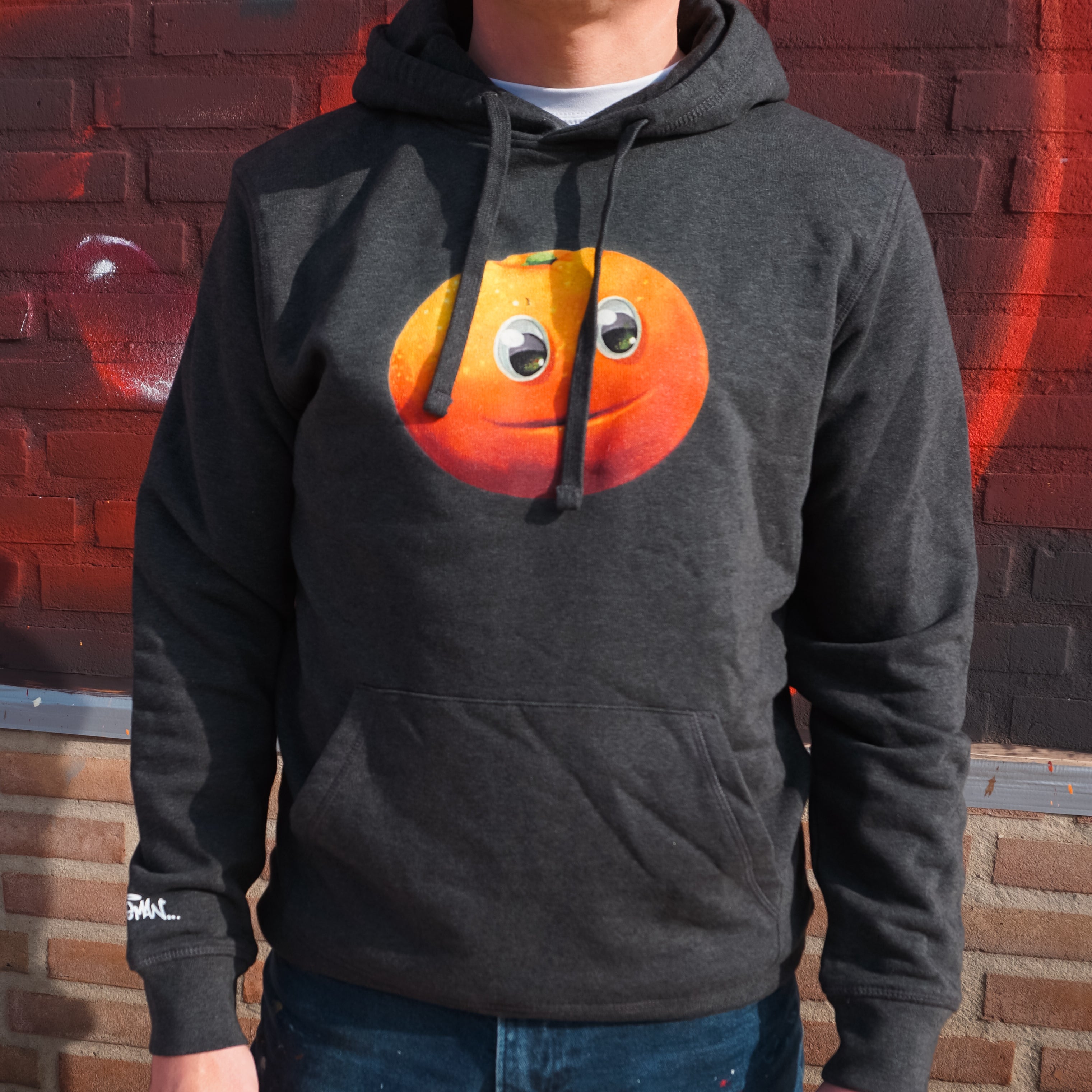 Jandarijn Hoodie in Heather Grey